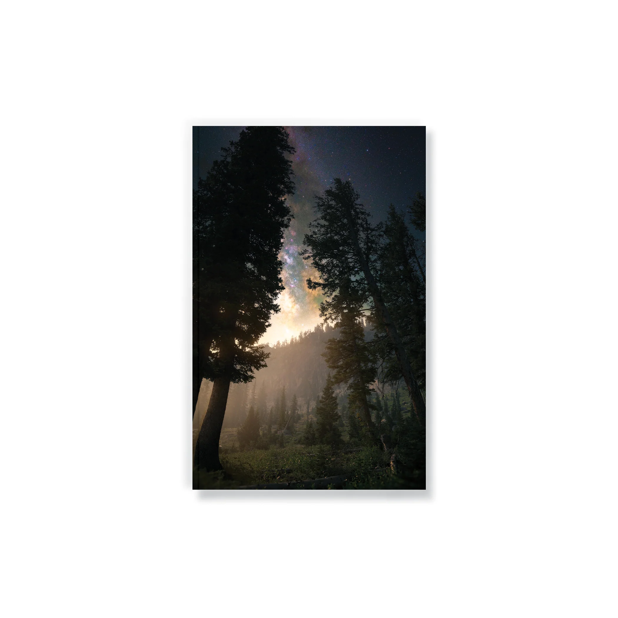 Photography & Photorealism